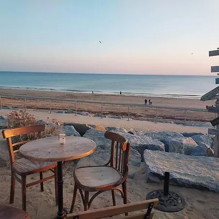 Belle Vue Mer, Dune Et Foret