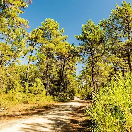 Belle Vue Mer, Dune Et Foret